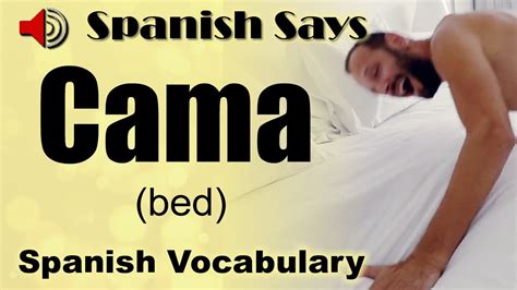 cama in spanish translation